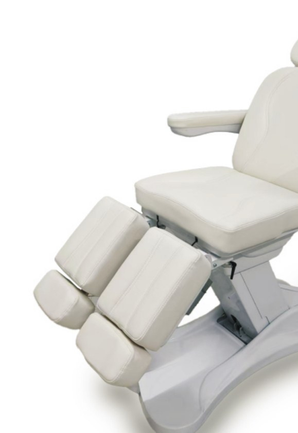Classic Electric Beauty Chair SS-B811