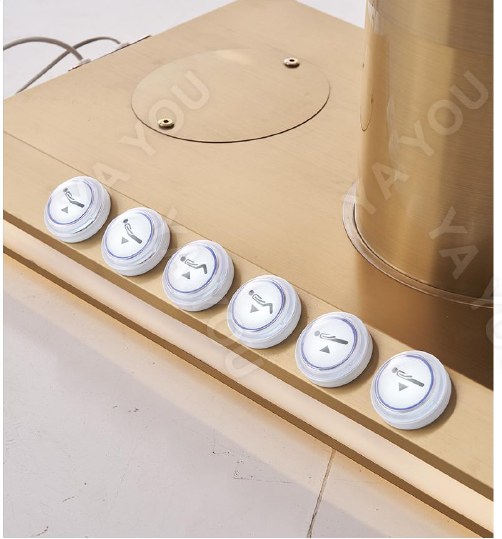 Rose Column Electric Beauty Bed